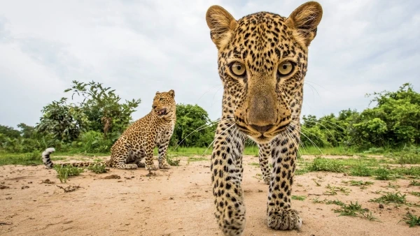 Katavi NP