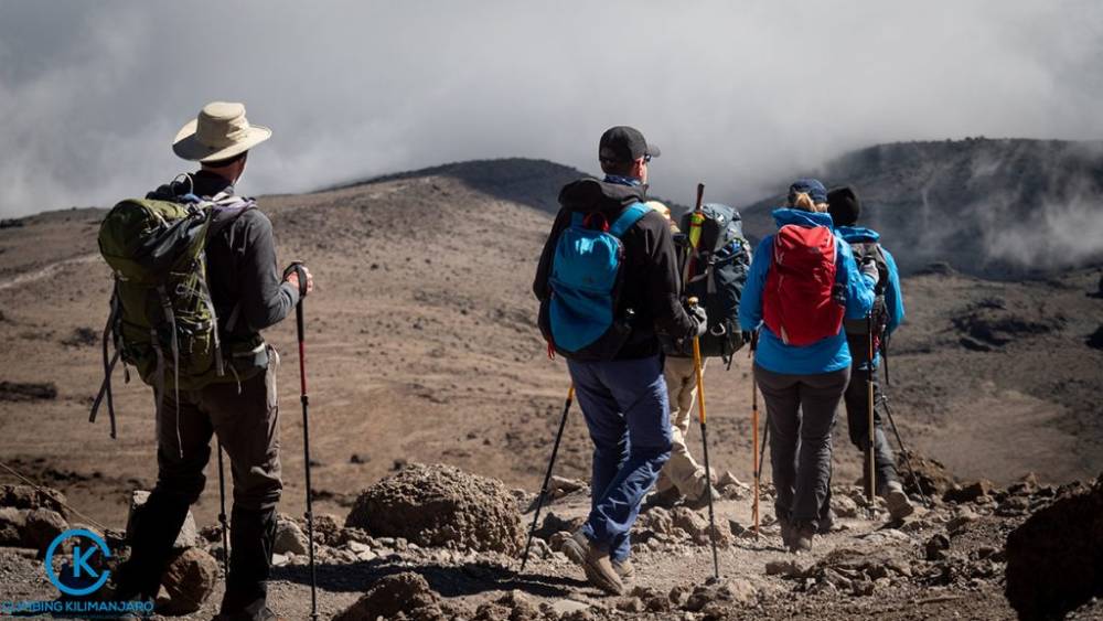 1-Tages-Wanderung auf dem Kilimandscharo über die Marangu-Route
