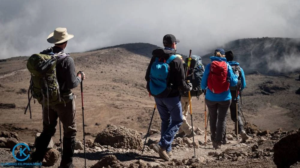 1-Tages-Wanderung auf dem Kilimandscharo über die Marangu-Route