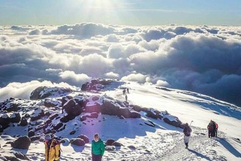 10-Tage Kilimanjaro 360 über Northen Circuit