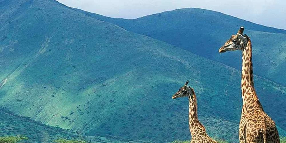 7-tägige mehrdimensionale Mittelstrecken-Safari