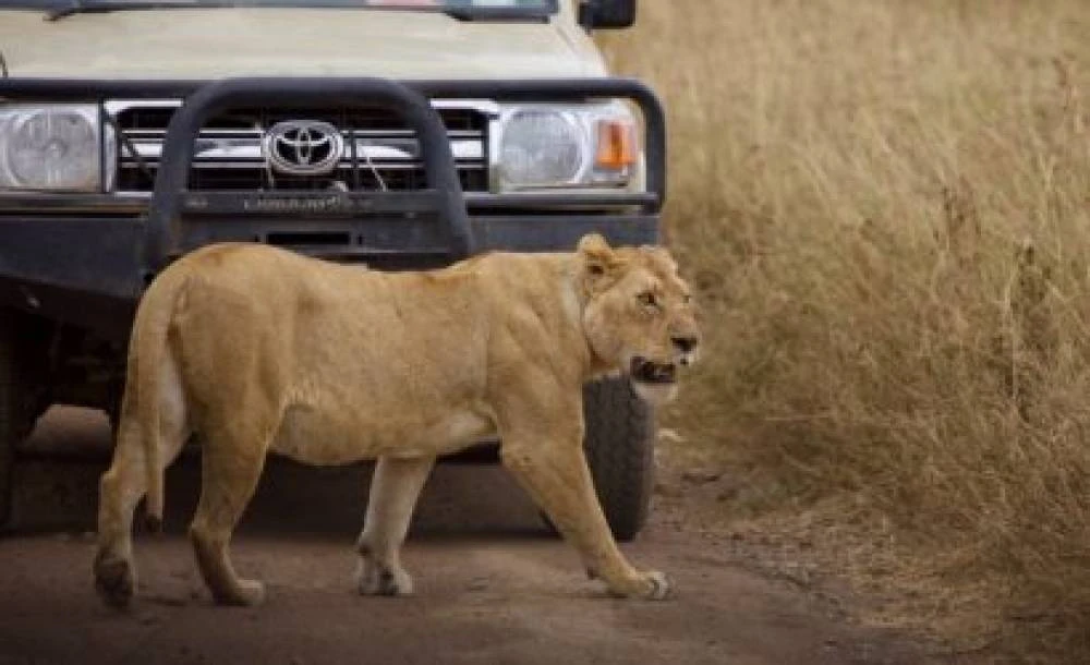 3 Tage 2 Nächte Ruaha ab Dar Es Salaam